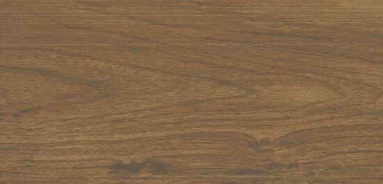 ragno usa mt royale mr04.jpg