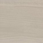 ragno usa mt royale mr05.jpg