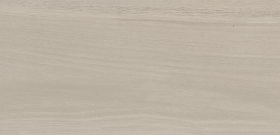 ragno usa mt royale mr05.jpg