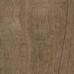 ragno nodis rdcc.jpg