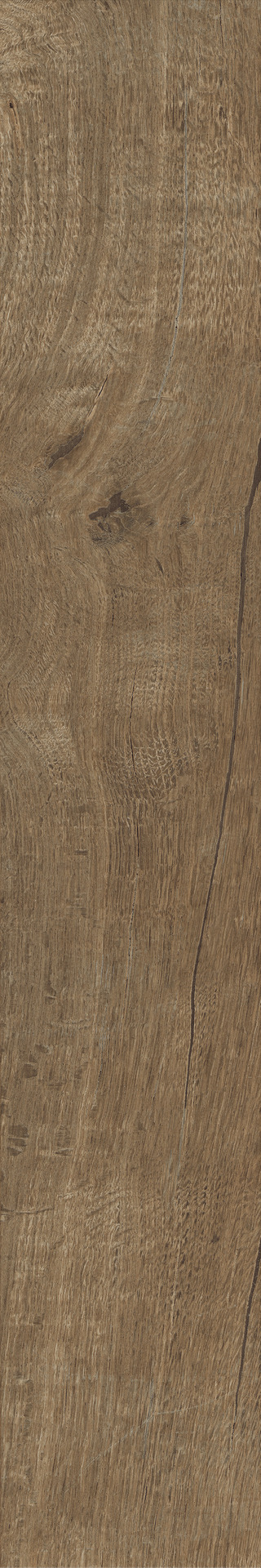 ragno nodis rdcc.jpg