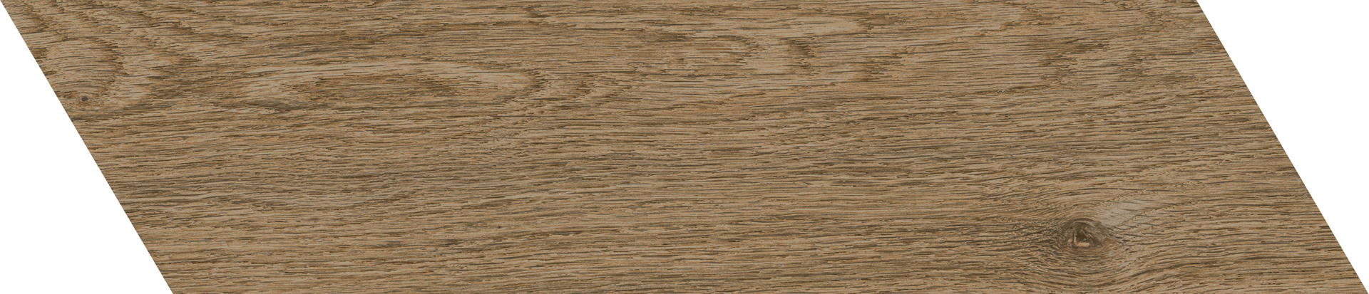 ragno ossimori r9st.jpg