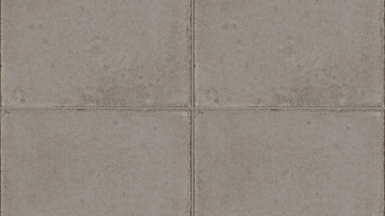 ragno ottocento rkmr.jpg