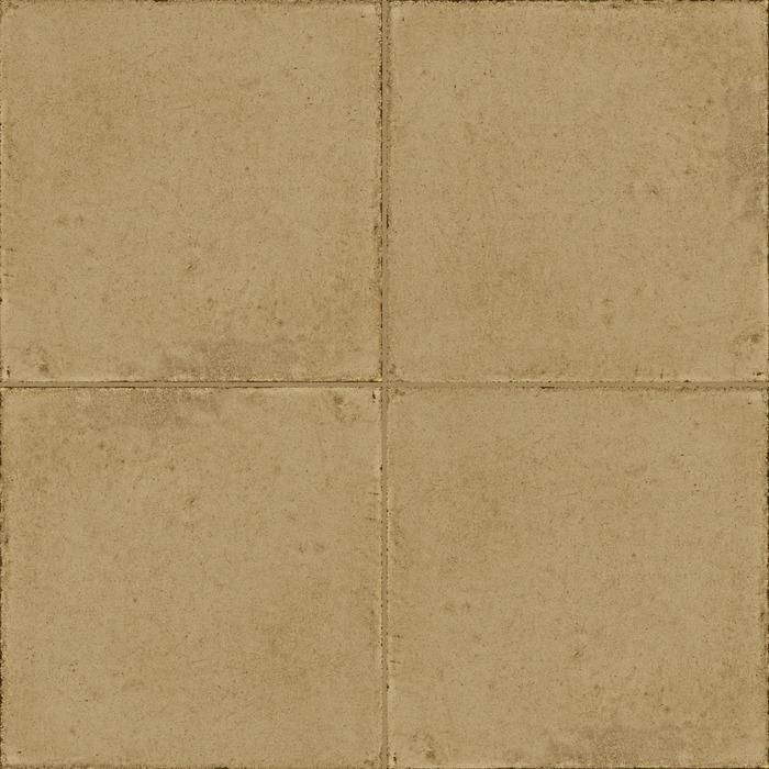 ragno ottocento rkmu.jpg