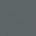 ragno papers rad6.jpg