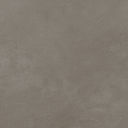 ragno re solution r61x.jpg