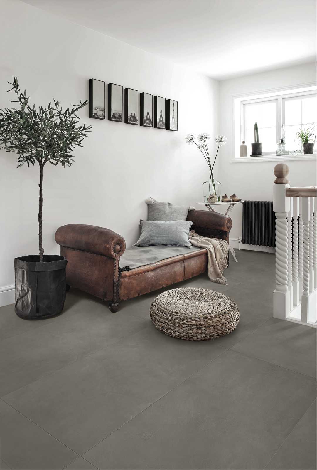 ragno re solution 001.jpg