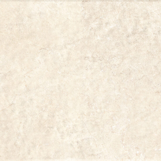 ragno realstone argent xt20 r9x9.jpg