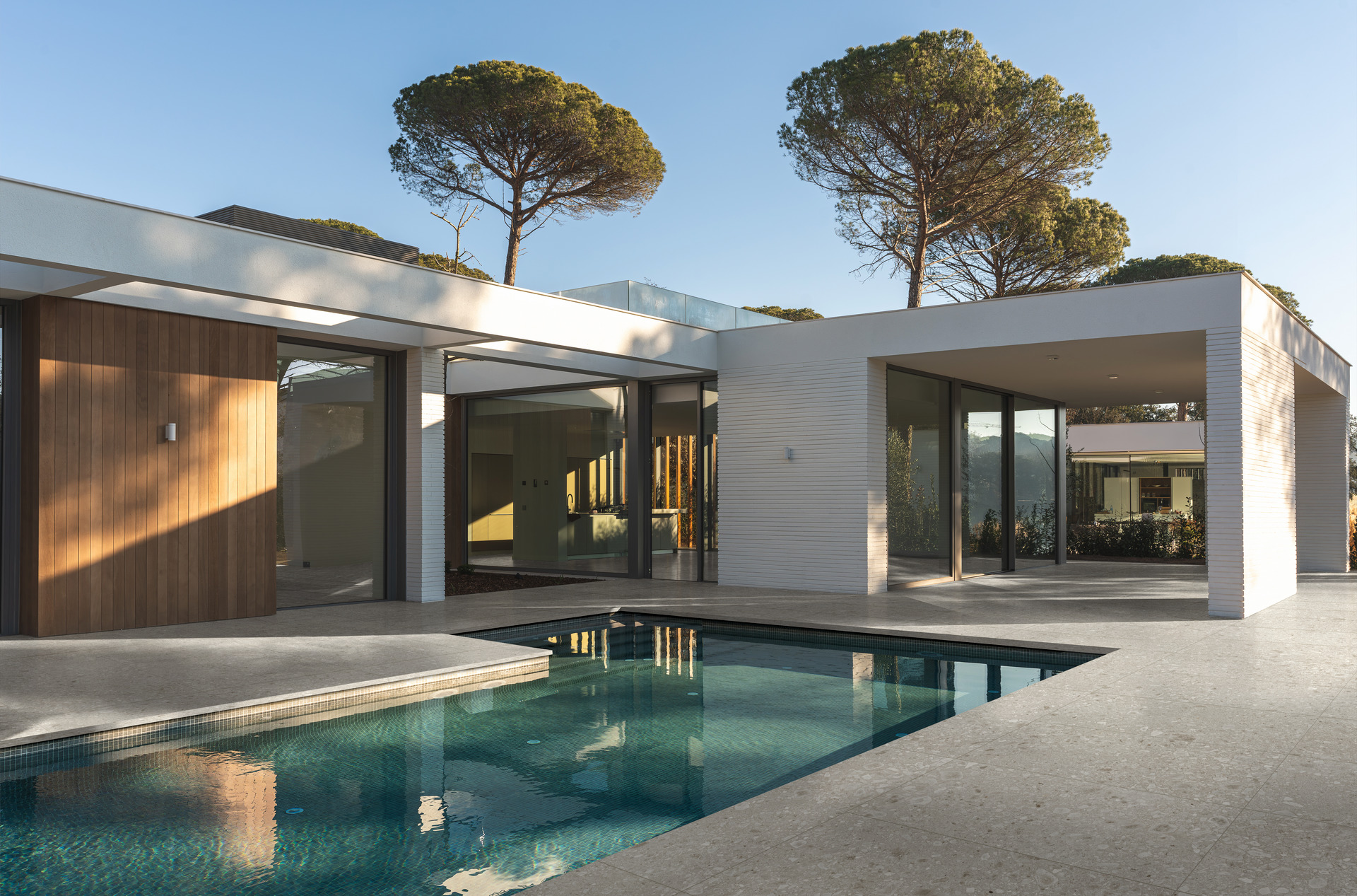 ragno realstone ceppo xt20 001.jpg