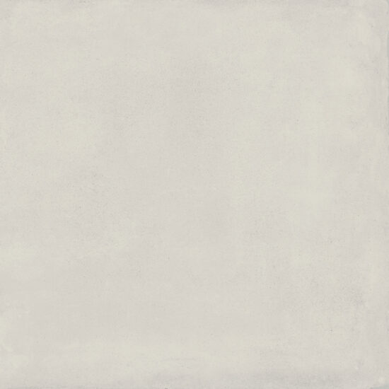 ragno replace r5jf.jpg