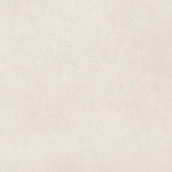 ragno replace r9cm.jpg