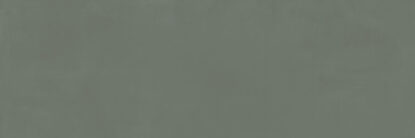 ragno resina r79x.jpg