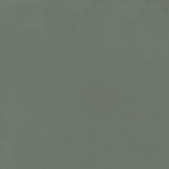 ragno resina r79x.jpg