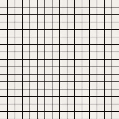 ragno resina r7lw.jpg