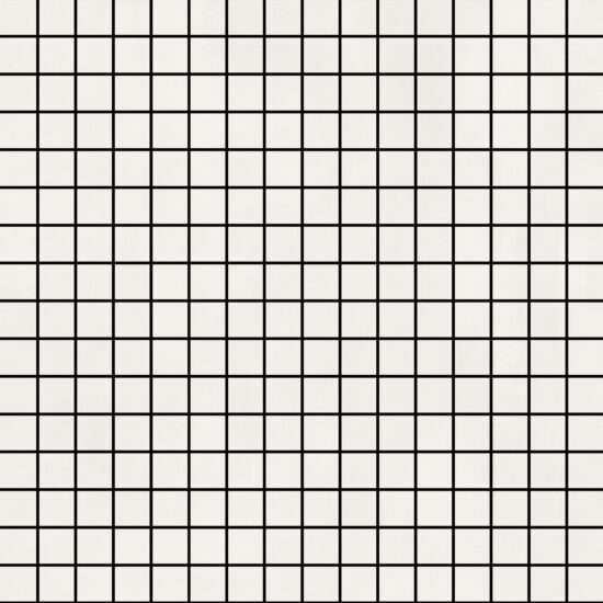 ragno resina r7lw.jpg