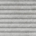 ragno richmond radc.jpg