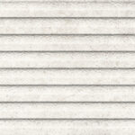 ragno richmond radd.jpg