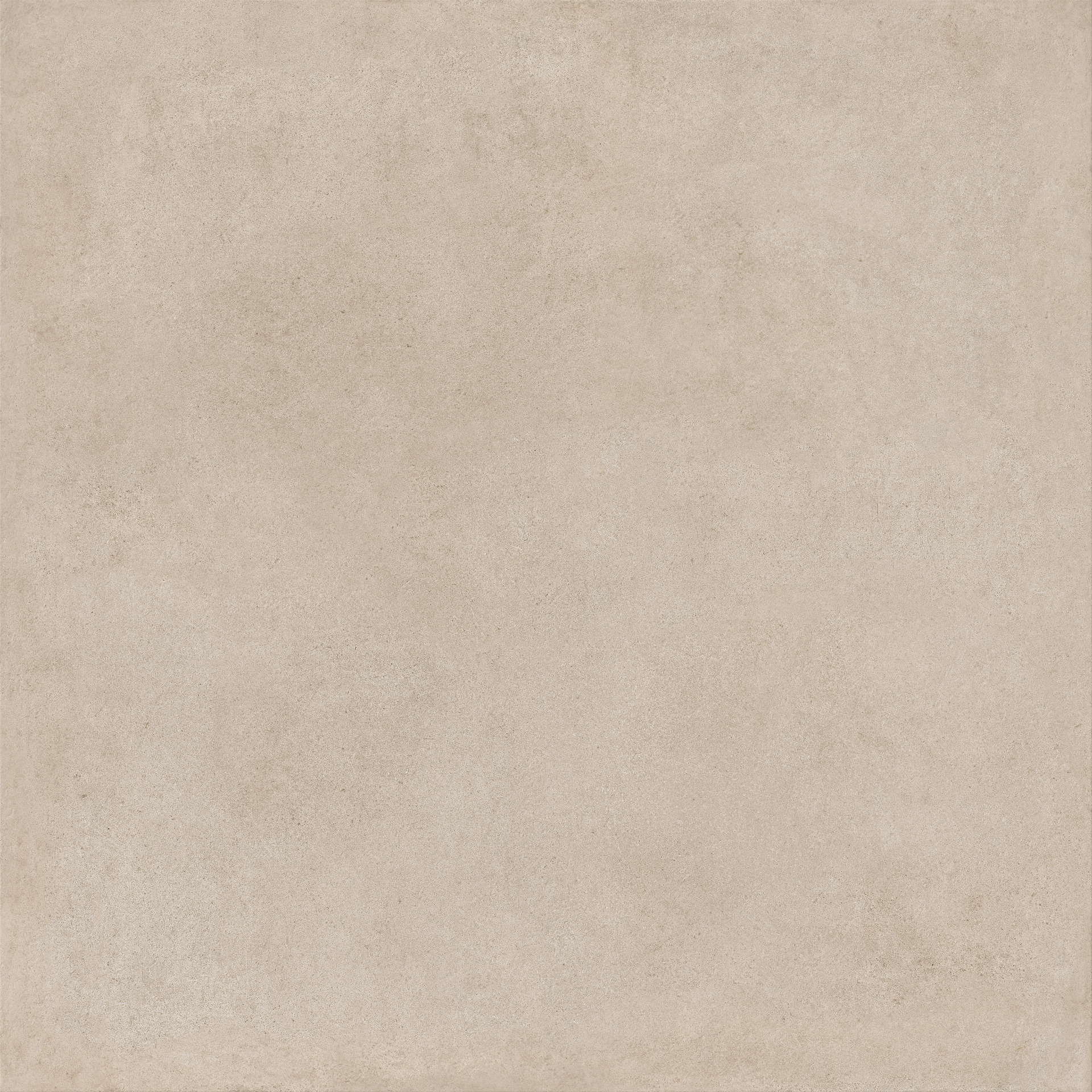 ragno solida rddp.jpg