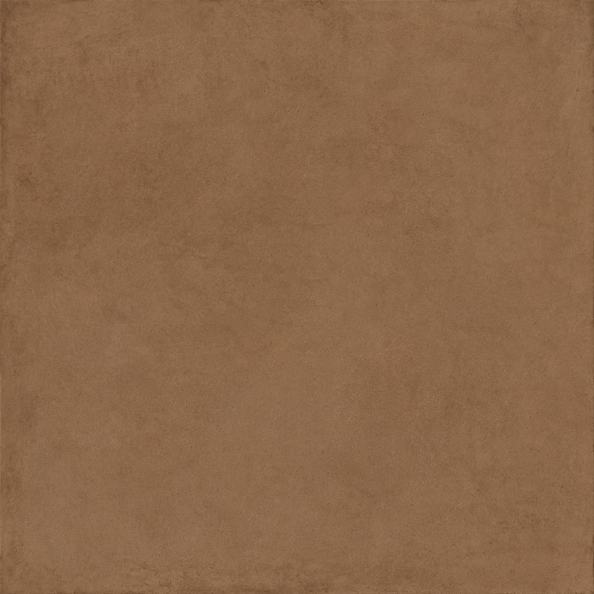 ragno solida rde0.jpg