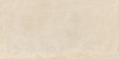 ragno solida rde2.jpg