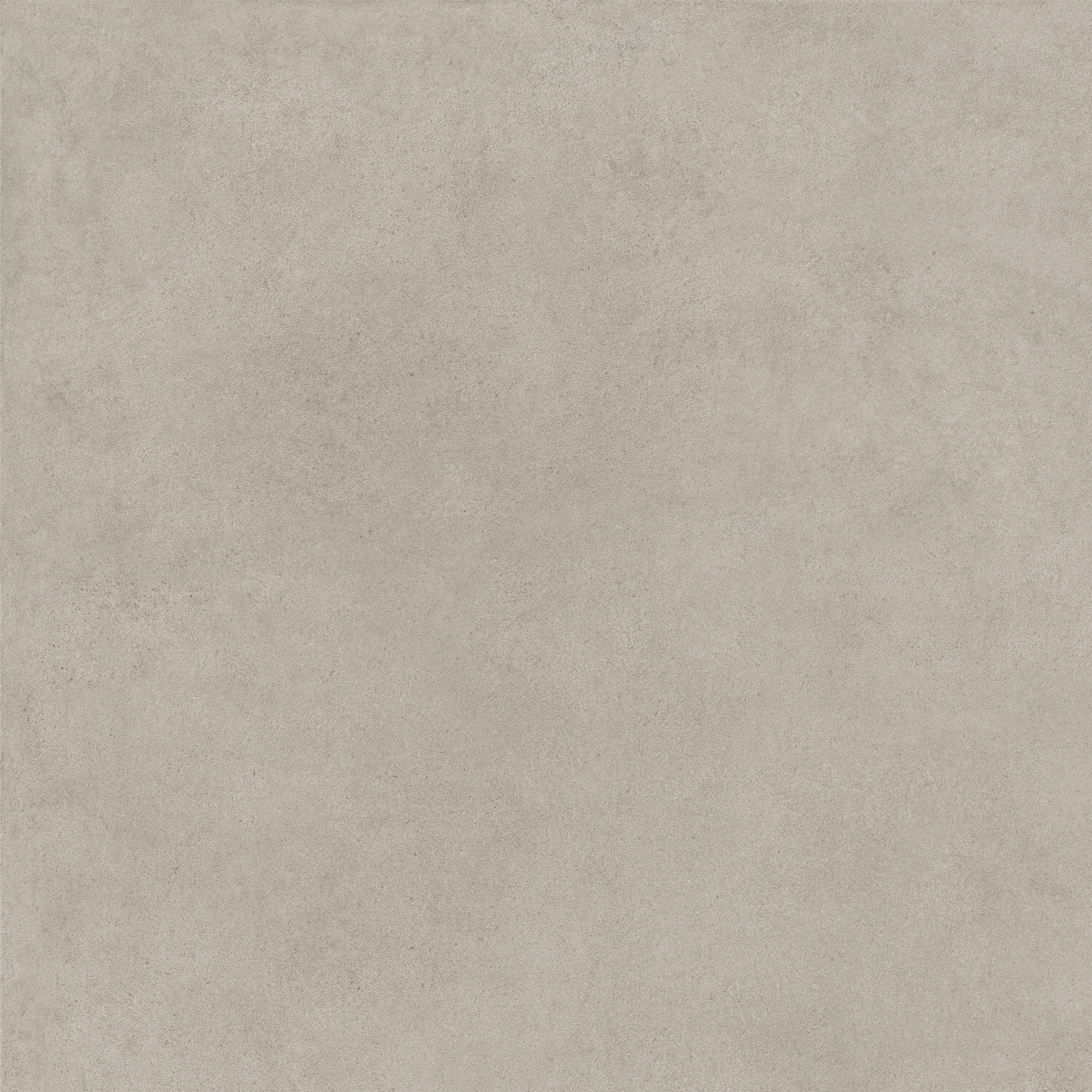 ragno solida rden.jpg