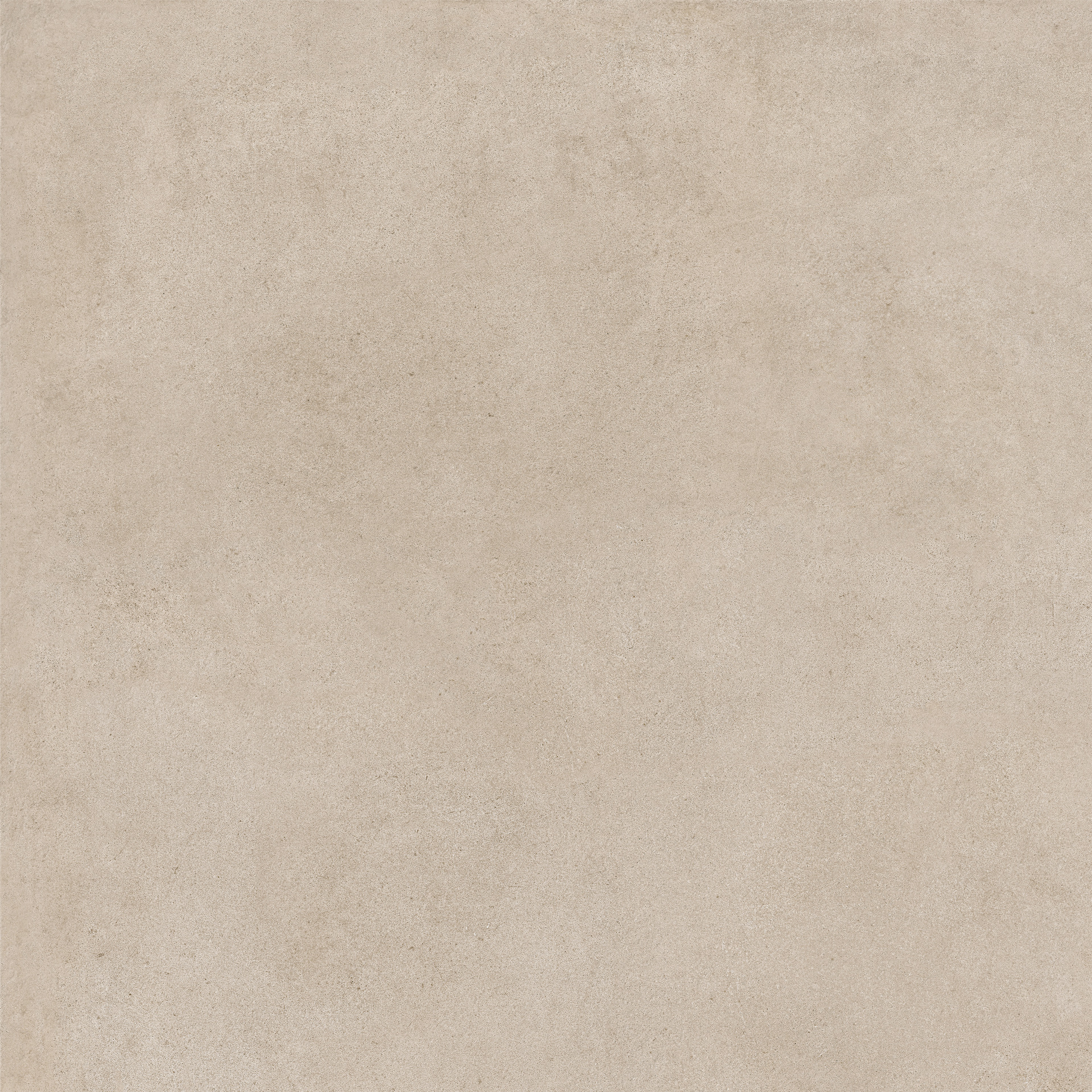 ragno solida rdet.jpg