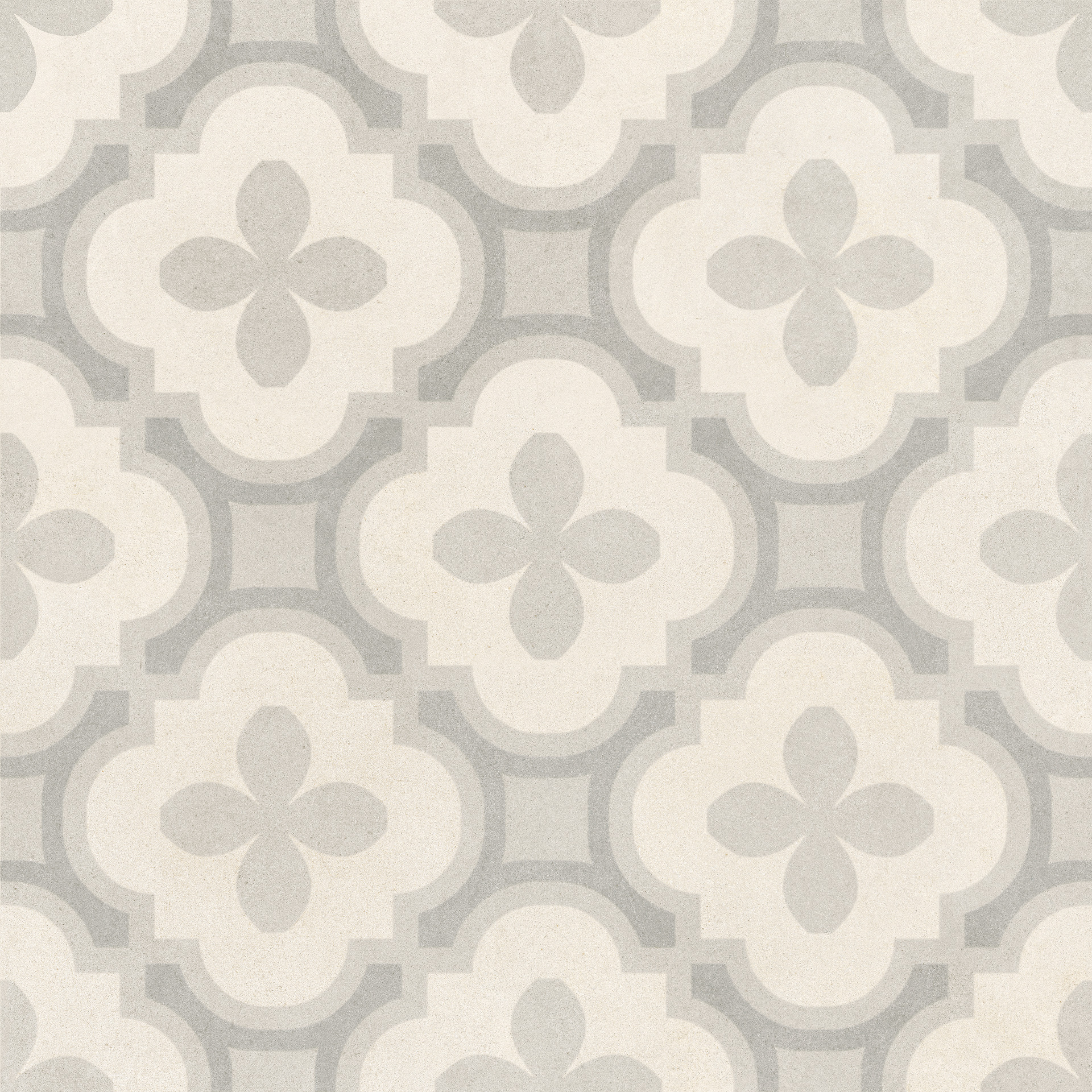 ragno solida rdeu.jpg