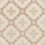 ragno solida rdev.jpg