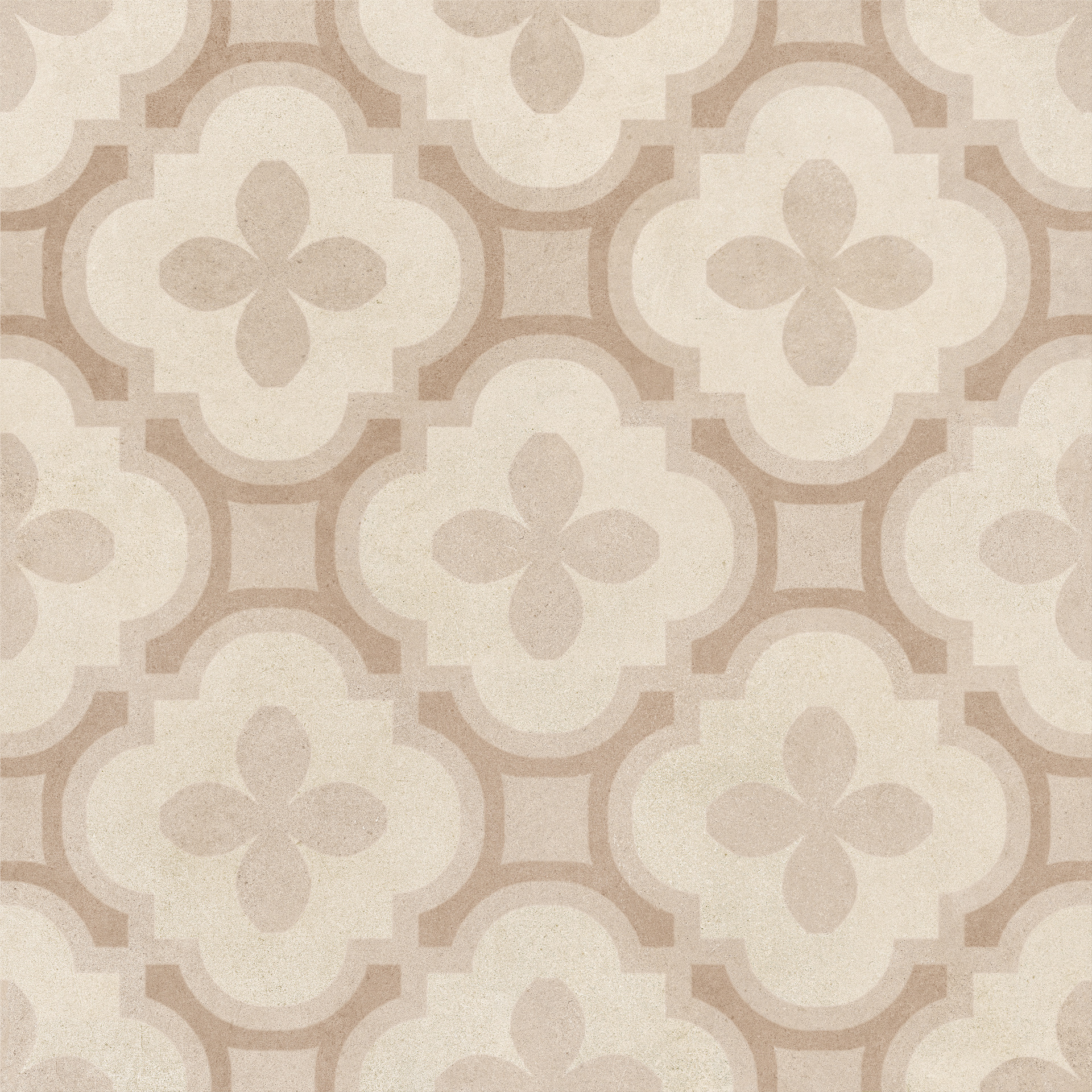 ragno solida rdev.jpg