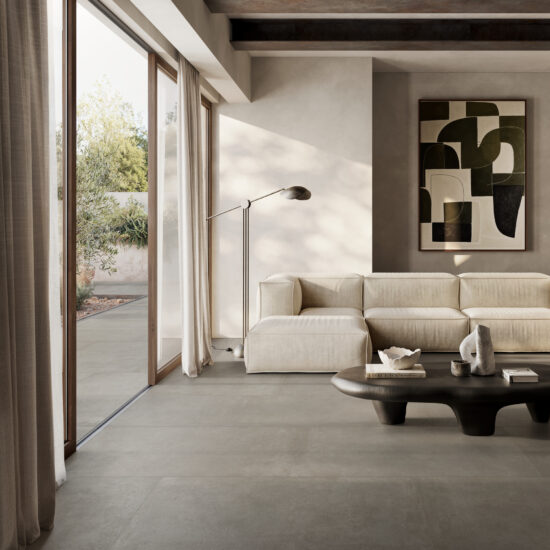 ragno solida 006.jpg