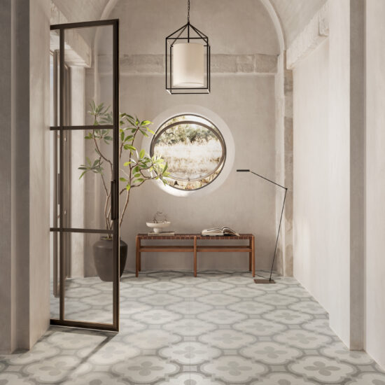 ragno solida 010.jpg