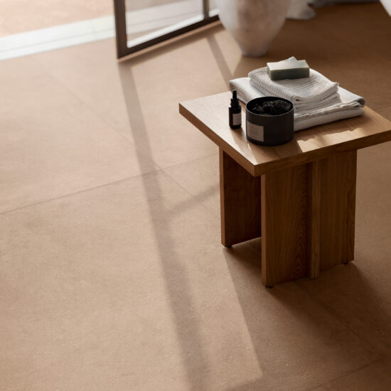 ragno solida 014.jpg