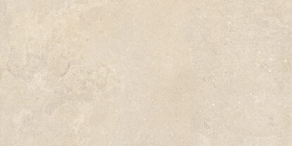 ragno stoneplay rcvj.jpg