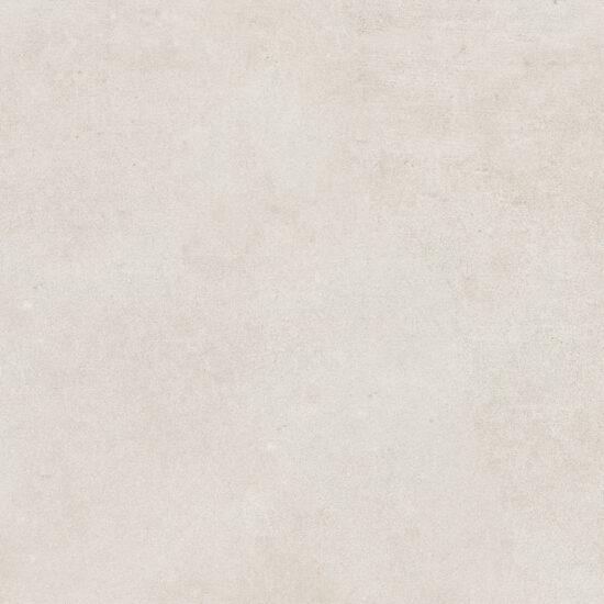 ragno studio r4pp.jpg