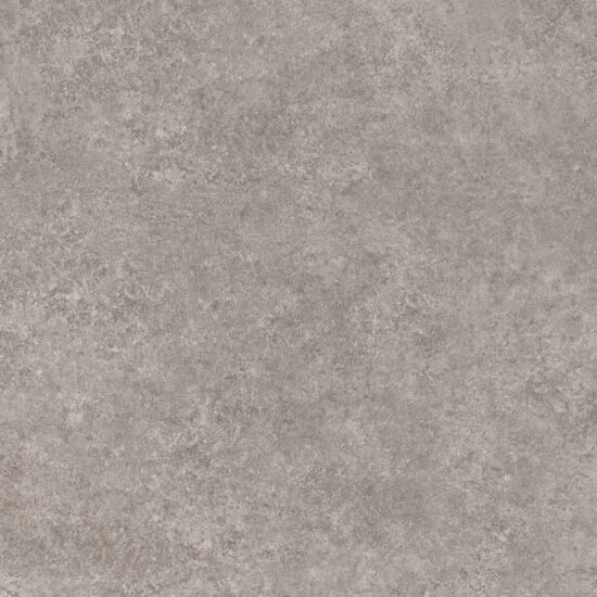 ragno tiempo rcsc.jpg