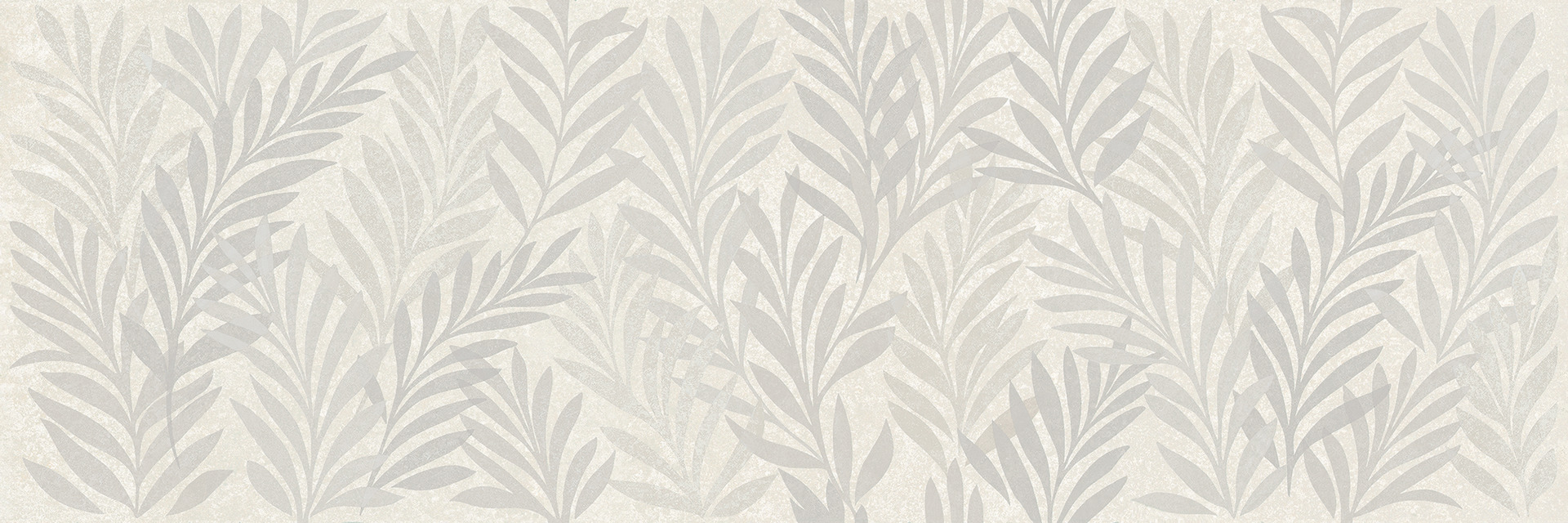 ragno tiempo wall rdap.jpg