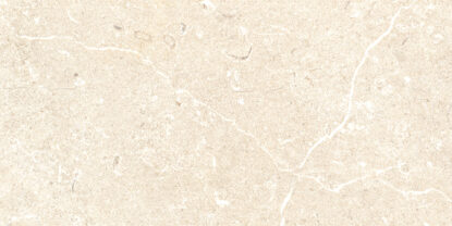 ragno viaggi rcz4.jpg