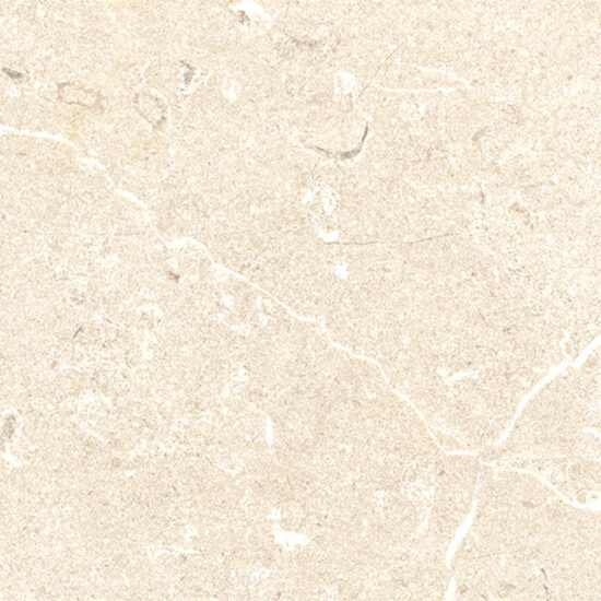 ragno viaggi rcz4.jpg