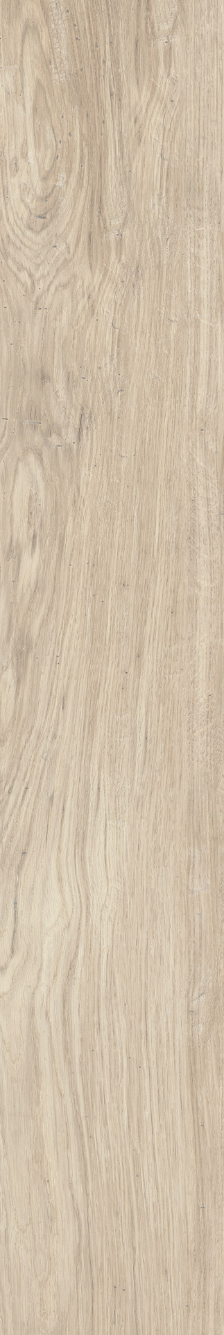 ragno woodclass r76u.jpg