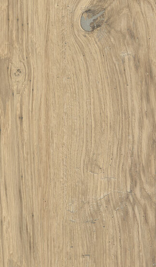 ragno woodclass r76v.jpg