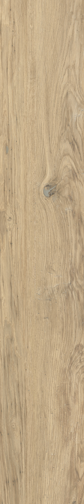 ragno woodclass r76v.jpg