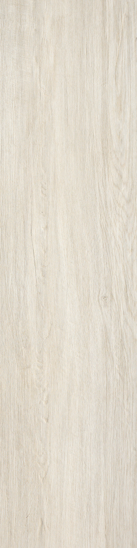 ragno woodliving r3zv.jpg