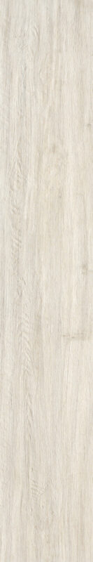 ragno woodliving r40a.jpg