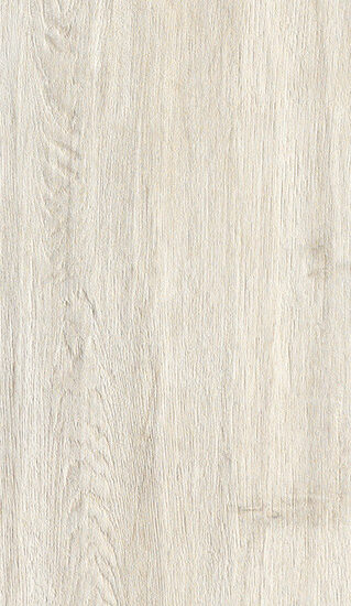 ragno woodliving r40a.jpg