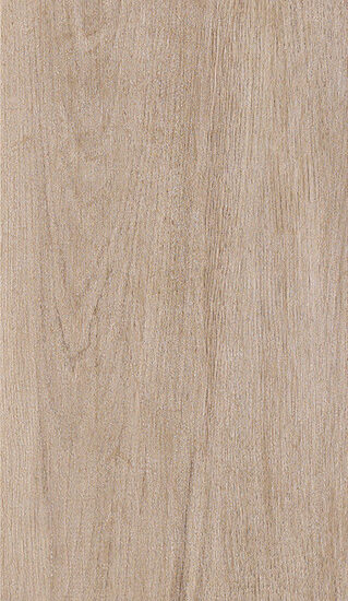 ragno woodliving r40d.jpg