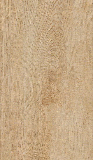 ragno woodliving r40f.jpg