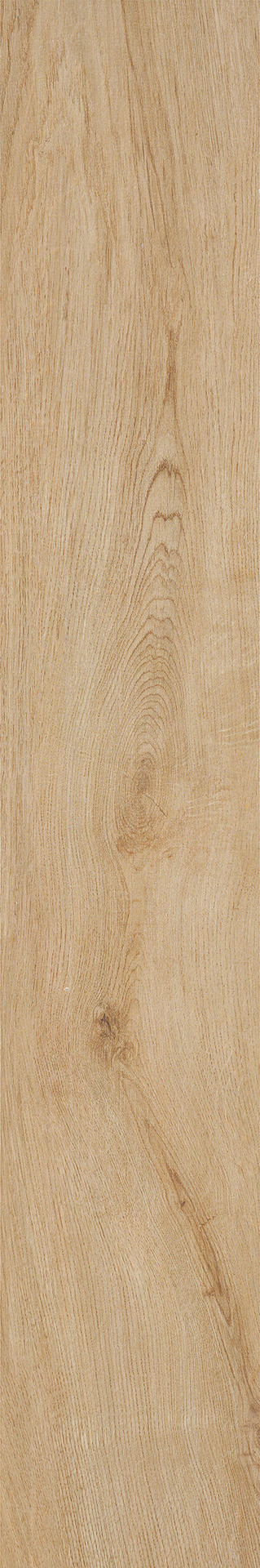 ragno woodliving r40f.jpg