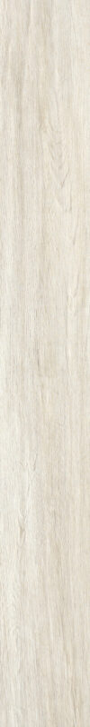 ragno woodliving r40g.jpg