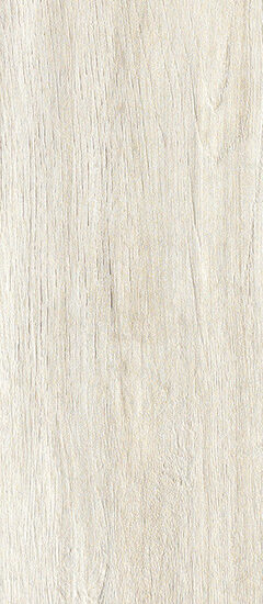 ragno woodliving r40g.jpg