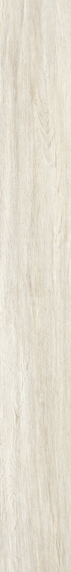 ragno woodliving r40g.jpg